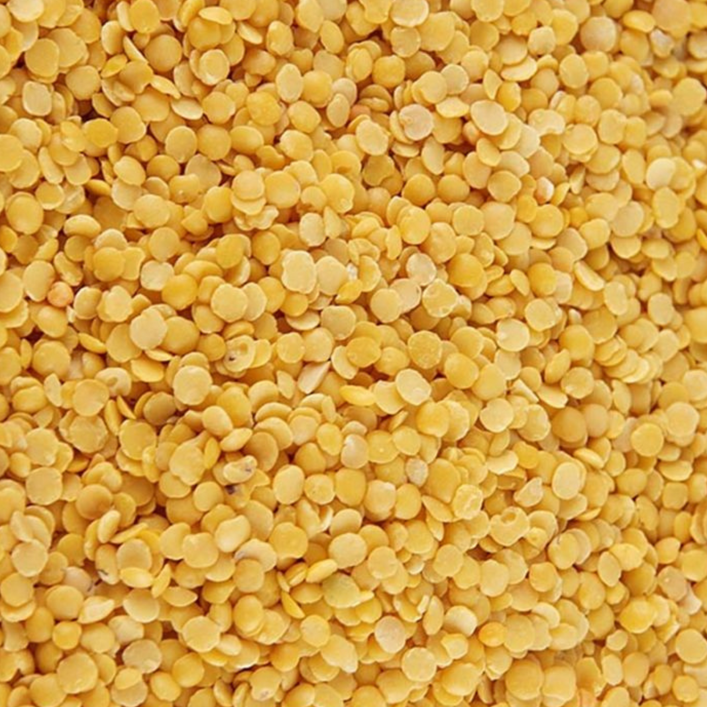 Pastilles de cire de Candelilla 100 % naturelle, alternative végétale à la cire d’abeille. Idéales pour les cosmétiques maison, elles apportent consistance, protection et nutrition aux baumes, crèmes et rouges à lèvres.