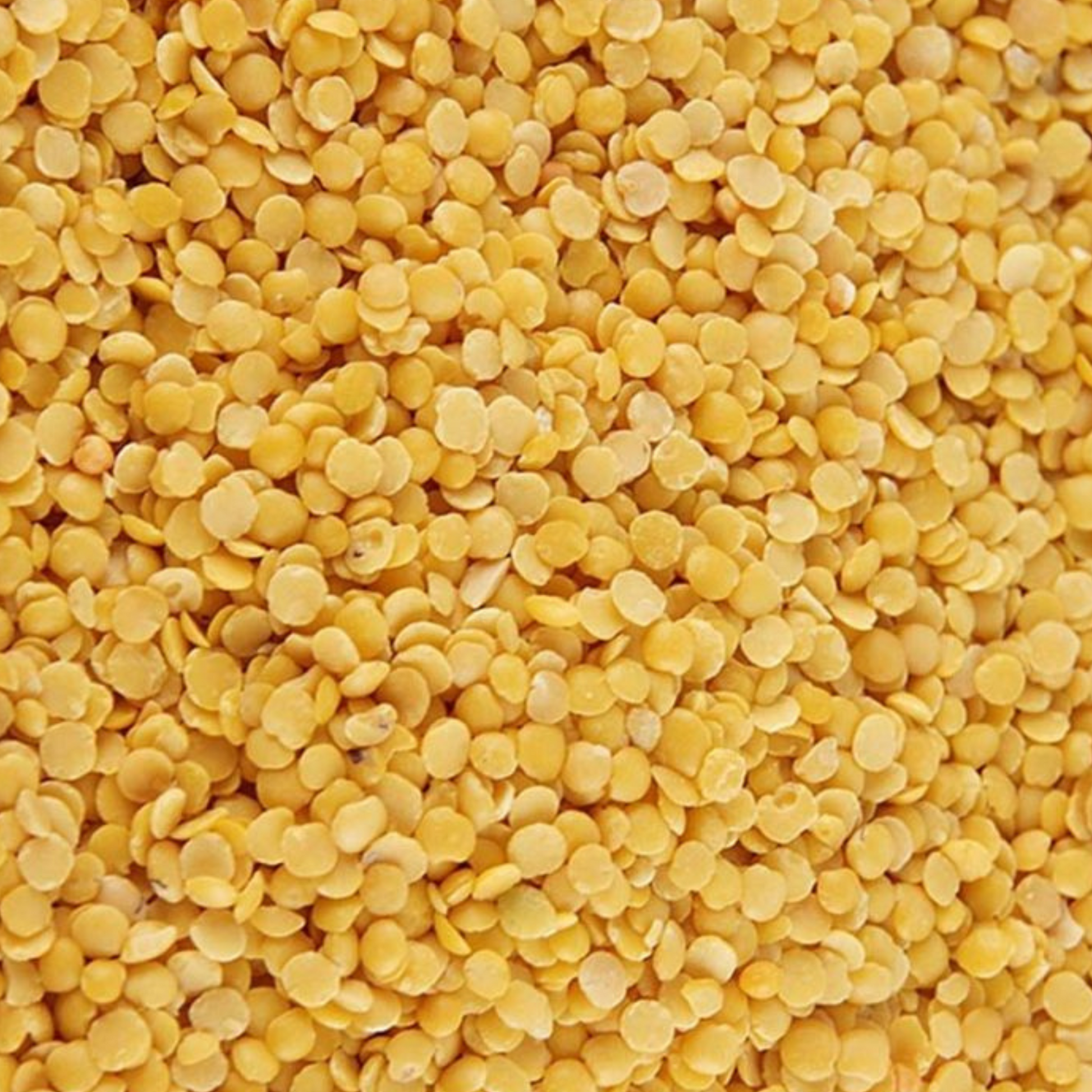 Pastilles de cire de Candelilla 100 % naturelle, alternative végétale à la cire d’abeille. Idéales pour les cosmétiques maison, elles apportent consistance, protection et nutrition aux baumes, crèmes et rouges à lèvres.