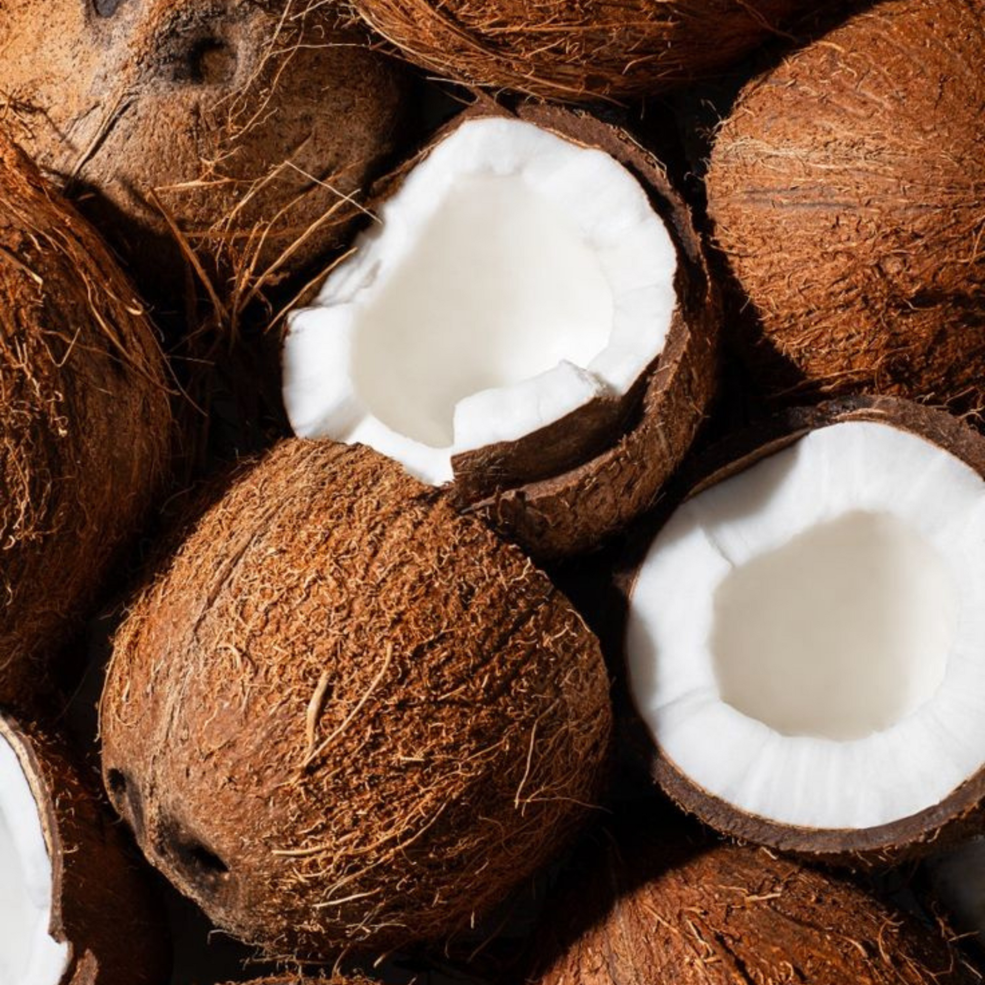 Noix de coco entière et ouverte, révélant sa chair blanche et son eau rafraîchissante. Ingrédient naturel aux multiples bienfaits, utilisé pour l’extraction de l’huile de coco, l’hydratation de la peau et des cheveux, ainsi que dans l’alimentation.